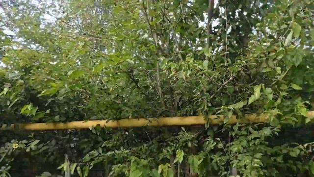 Дизайн из Фикс Прайс смотреть онлайн