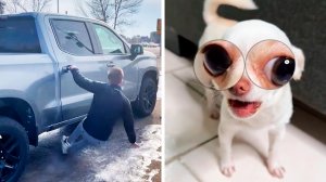 Популярное из TikTok (122 часть)