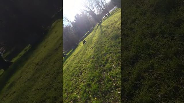 Hako смотреть онлайн