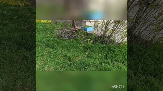 Богатырь-золотые пазлы знания. смотреть онлайн