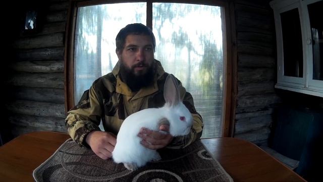 Вес Калифорнийских крольчат в 30 дней. смотреть онлайн