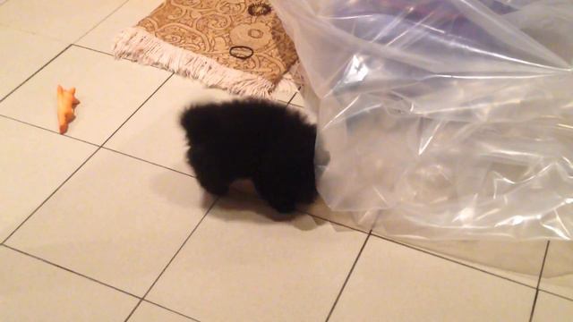 Я должен копать смотреть онлайн