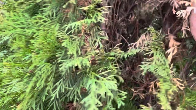 Завтрак надо заработать смотреть онлайн