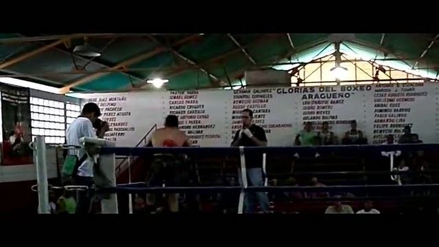 mono kombat pelea maracay-venezuela смотреть онлайн