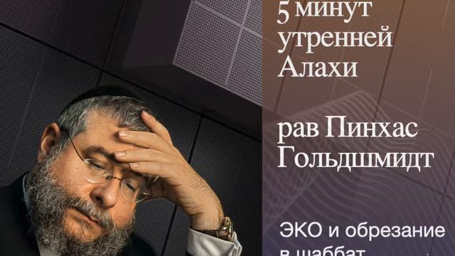 5 минут утренней Алахи от рава Пинхаса Гольдшмидта смотреть онлайн