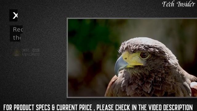 Top 5 Best OLED TVs To Buy in 2023! смотреть онлайн