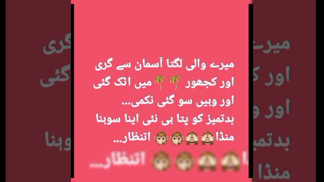 Most funny poetry 2023|funny quotes|funny dp|urdu lateefay🤣 смотреть онлайн