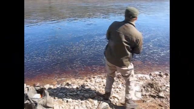 Ловля сёмги на спиннинг смотреть онлайн