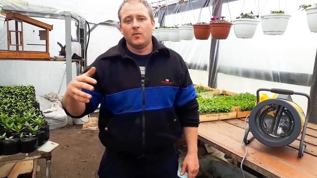 Обогрев теплицы тепловентилятором смотреть онлайн