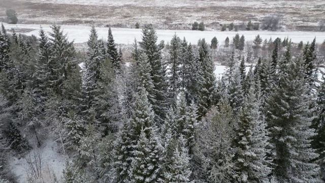 Релакс. Тайга в снегу. Зимний лес С Квадрокоптера. смотреть онлайн