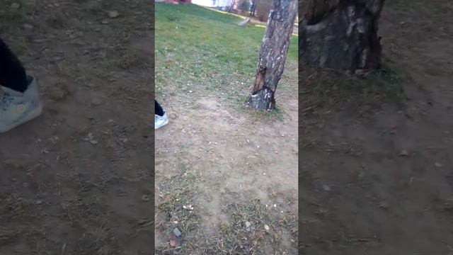 Катаемся на качелях это первое моё видео смотреть онлайн