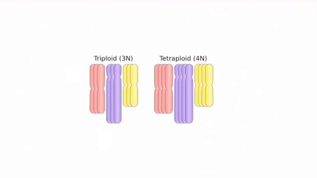 Genetic terminology | Basic genetic terms | Part-2 смотреть онлайн