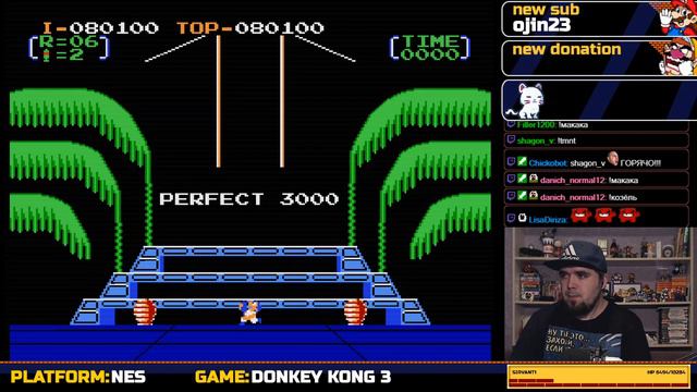 DONKEY KONG 3 ► NES ► ПРОХОЖДЕНИЕ смотреть онлайн