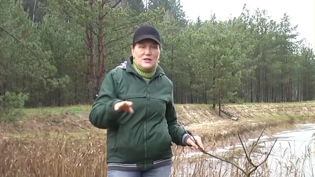 Полезные советы садоводам от Нины Андреевой смотреть онлайн