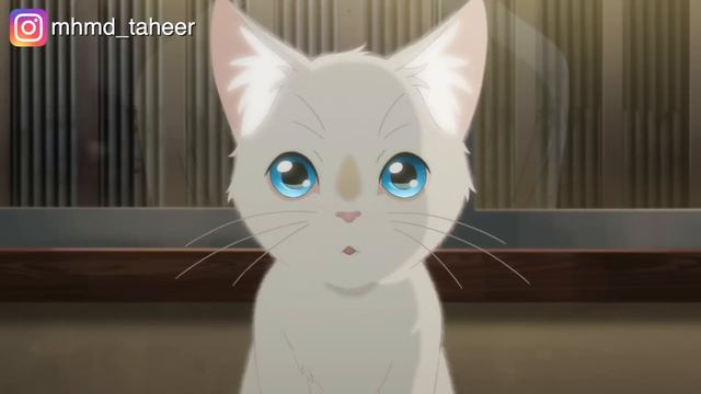 بنت بتقرر انها تتحول لقطة بعد ما عرفت ان الولد اللي بتحبه بيحب القطط!. A whisker away смотреть онлайн