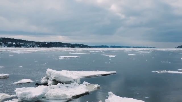 Бровченко// Что происходит? Почему вдруг заметались? // Обзор видео// смотреть онлайн