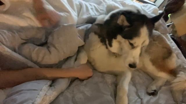 NEW HOME ? Apartment Tour! | YB Chang смотреть онлайн