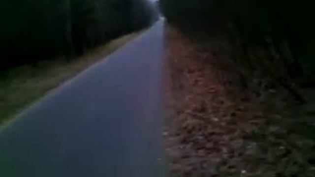 ЛикБез По: (вып. 11) Прогулка по лесной Европе, природа Польши и рыбалка в Польше смотреть онлайн