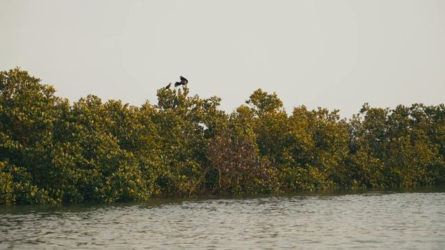 Fishing Elon Musk Space X | Texas Fishing Travels смотреть онлайн