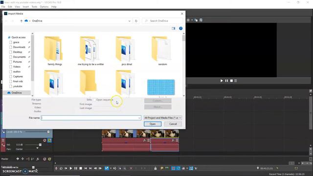 HOW TO MAKE YOUTUBE VIDEOS AESTHETIC: VHS effect + how i edit using Sony Vegas Pro смотреть онлайн