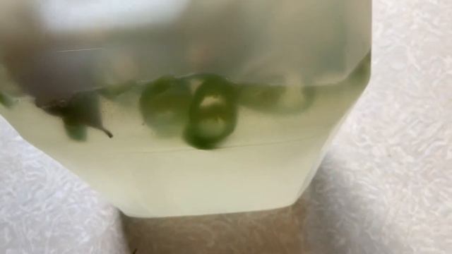 Перцовка ?? своими руками / Просто и быстро ☝️ смотреть онлайн