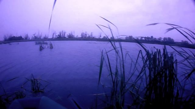 Новое ружье, новые трофеи смотреть онлайн