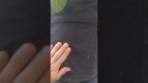 Гроубэг выращивание картошки в GrowPotatos #горшок #тканевыегоршки #агротекстиль