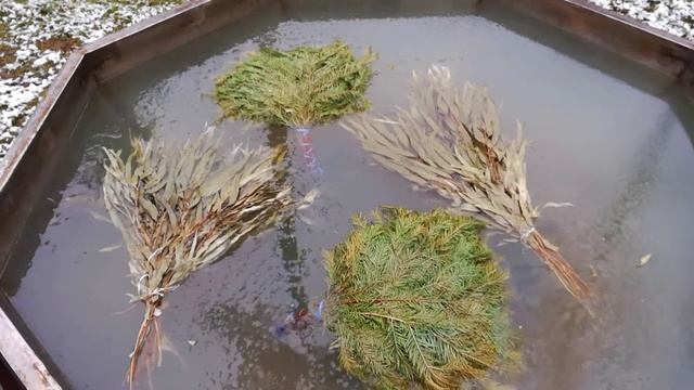 Пармастер - это как? смотреть онлайн