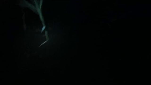 Самая лучшая наживка для линя найдена! + отчёт о рыбалке смотреть онлайн