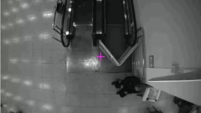 3D STEREO подсчет на эскалаторе смотреть онлайн