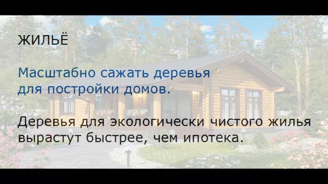 ВЕТКА СИРЕНИ смотреть онлайн
