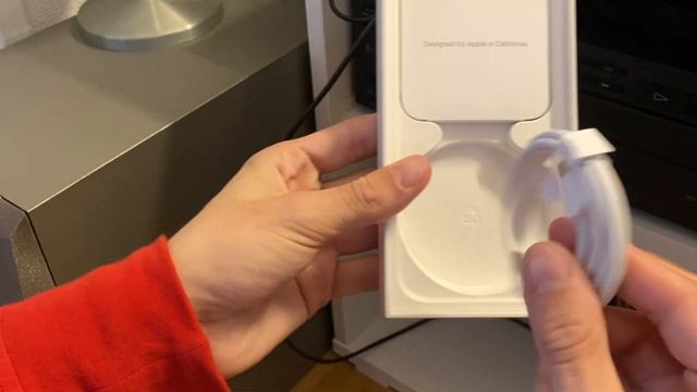 iPhone 15 Pro Natural Titanium 256GB + Clay Apple Silicone case ASMR Unboxing смотреть онлайн