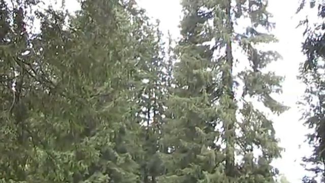 горная речка смотреть онлайн