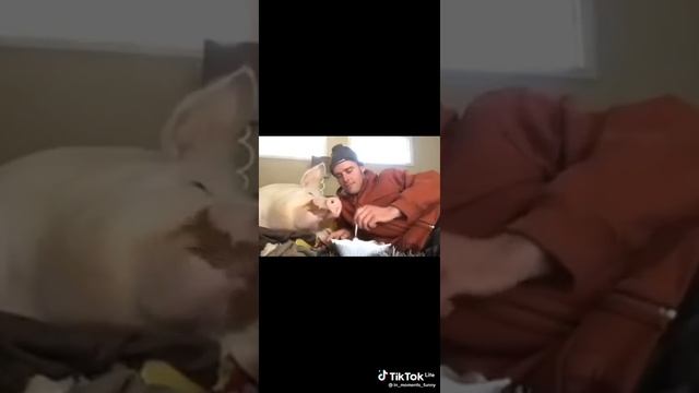 Лучшие друзья смотреть онлайн