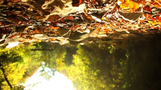 #медитация #расслабление "Ментальная разгрузка" - расслабление после высоких умственных нагрузок смотреть онлайн