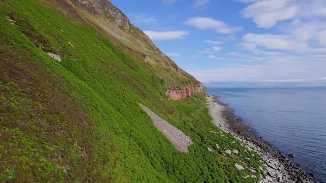  смотреть онлайн