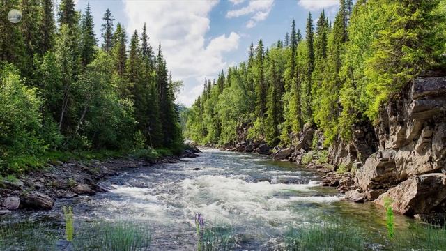 Успокаивающая Музыка для Сна ? Звук Ручья и Пение Птиц ? Звуки Леса ? Фортепиано ? Релакс 2 часа смотреть онлайн