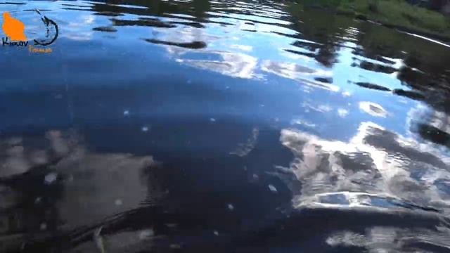 Вечерняя рыбалка на белого хищника.mp4 смотреть онлайн