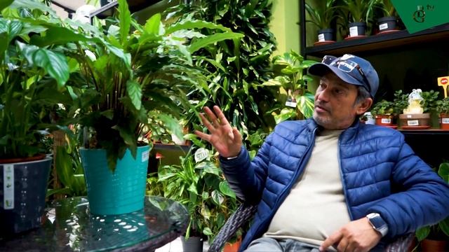 Женское счастие и таинственная калатея - уход и многое другое смотреть онлайн