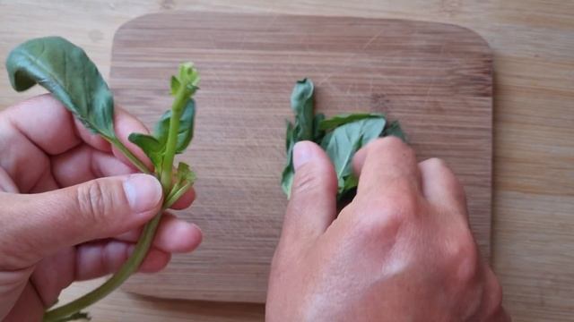 Frische Pasta im Tomaten-Lupinen-Mozzarella-Sugo. Frisch, einfach nachzukochen und super lecker. смотреть онлайн