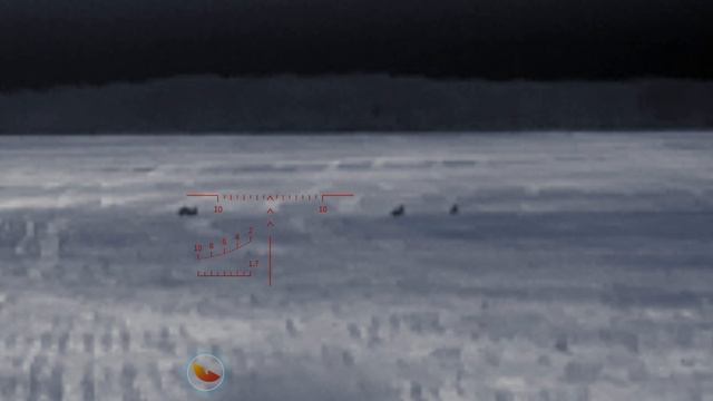 InfiRay T2 Pro зайцы около 150 метров