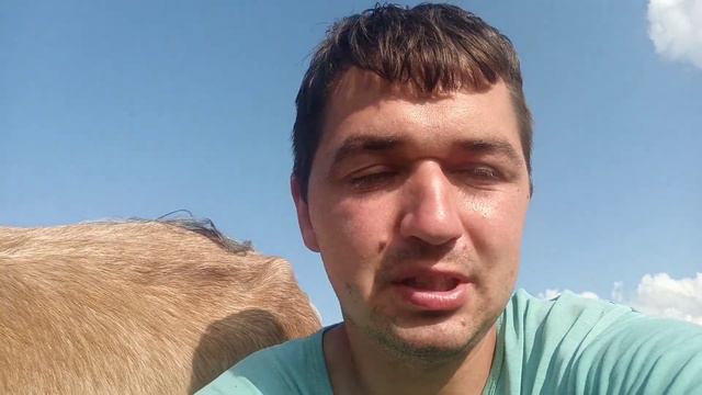 что мне с ними делать? убегаю ❤️ смотреть онлайн