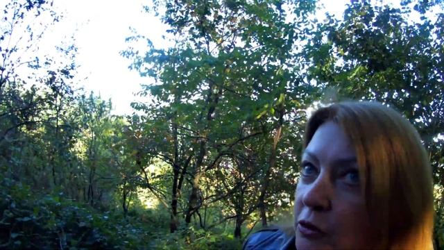 ЧАЙНЫЕ ДОМИКИ. ДАГОМЫС. НОМЕР КВАРТИРЫ 5 ЧТО ОЗНАЧАЕТ. ПОПЬЕМ ЧАЕК. смотреть онлайн