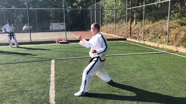 Do San tul - demonstrated by Master Ioannis Zachos смотреть онлайн