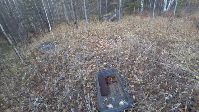 #МЕТАЛОКОП ПОСЛЕ РАБОТЫ!! Вечерний коп вдоль полей смотреть онлайн