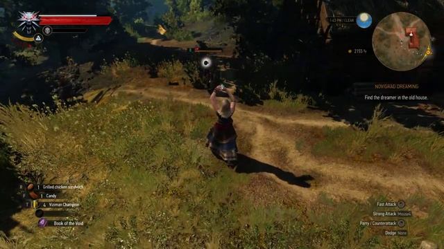Playing as Keira Metz, quick combat gameplay vs Witch Hunters TW3: GOTY смотреть онлайн