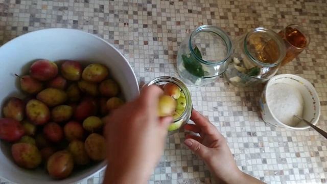 ?за 5 минут ! Маринованные СЛИВЫ Без Стерилизации на зиму смотреть онлайн