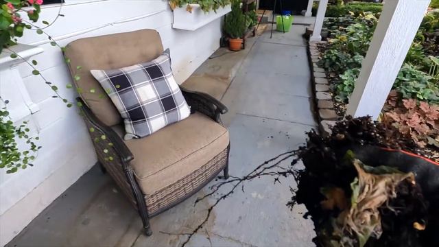 Planting the Kitchen Window Box & Bringing Begonias Inside! 🌿🙌💚 // Garden Answer смотреть онлайн