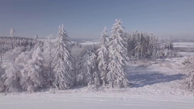 Зима. За окном тихо падает снег… Погода, созданная для горячего чая, уютного пледа и красивых сказо смотреть онлайн