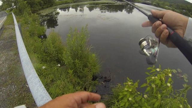 Fishing for Crappies from the side of road using Gulp Minnows смотреть онлайн